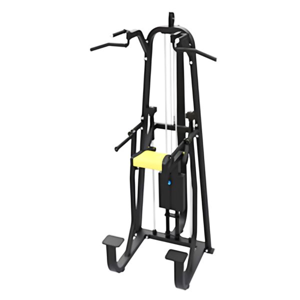 Chin Up and Dipping Parallel Machine