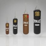 Everlast Boxing SandBag