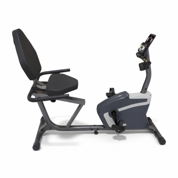 Professional Relax Bike (Recumbent) - 200 KG