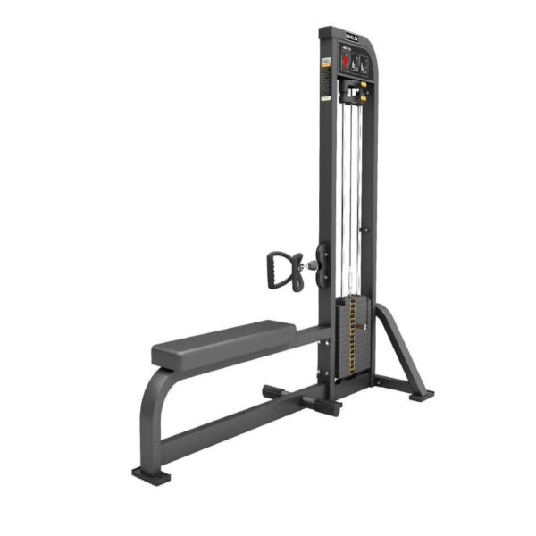 life fitness pro - floor pull