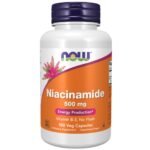 Now Niacinamide B-3 500 mg 100 Veg Capsules