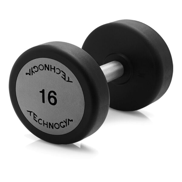 Technogym Dumbbells