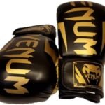 Venom M12 Boxing Gloves – Premium Training Gloves