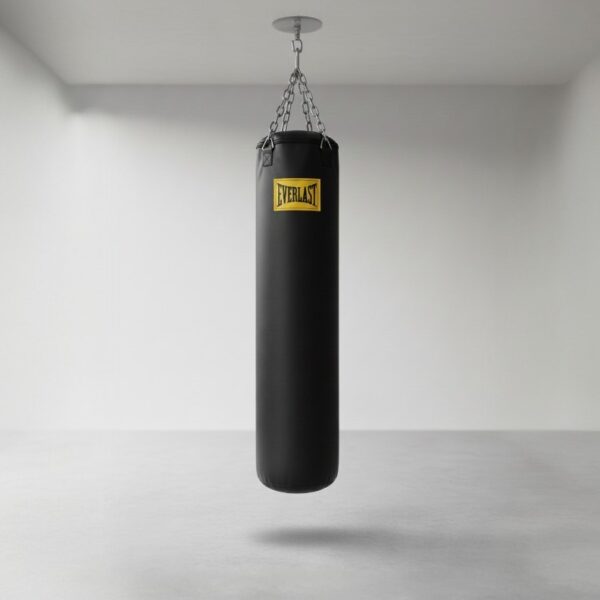 Everlast Boxing Sandbag Heavy Punching Training Bag