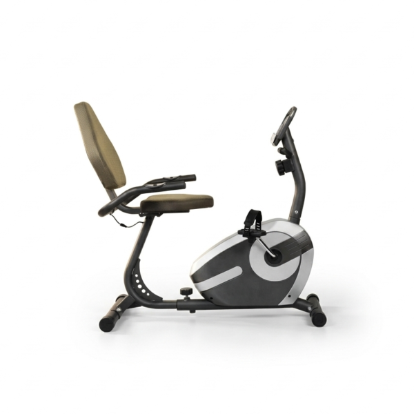 Professional Relax Bike (Recumbent) - 200 KG