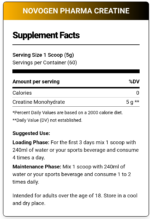 Novogen Pharma, Creatine Monohydrate, 300g, 60 Serving