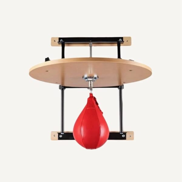 Wall-Mounted Speed Ball